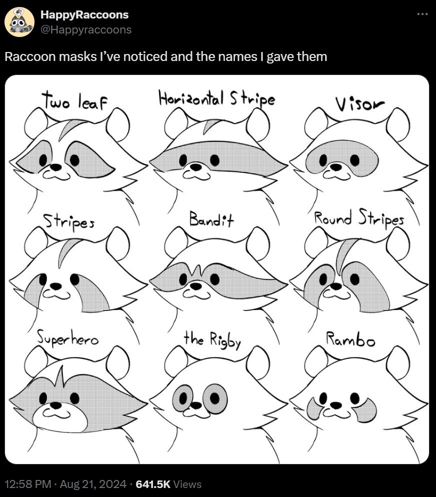 The Many Types of Raccoon Masks The Many types of Raccoon Masks