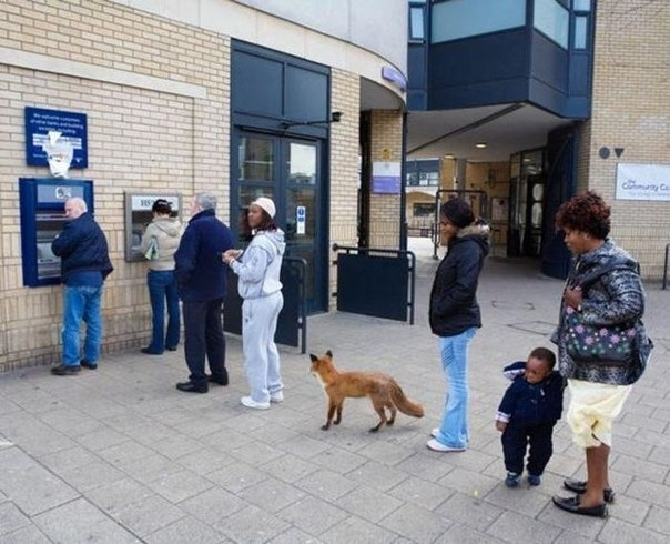 Can't I just go to the bank in peace? Can't I just go to the bank in peace?