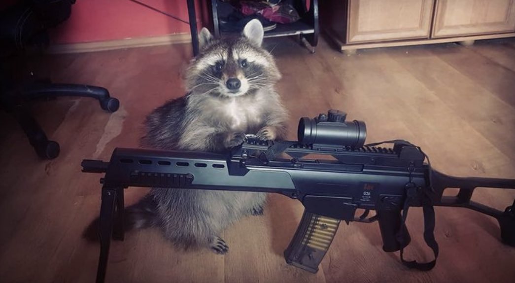 Cosplaying as Rocket Raccoon Cosplaying as Rocket Raccoon
