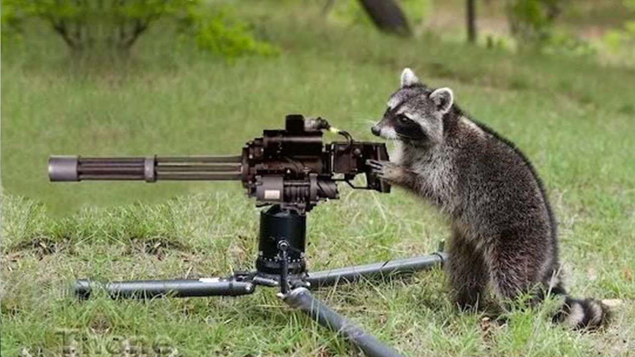 Protecting my forest... Protecting my forest...
