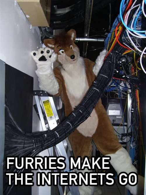 Furries make the internets go! Furries make the internets go!