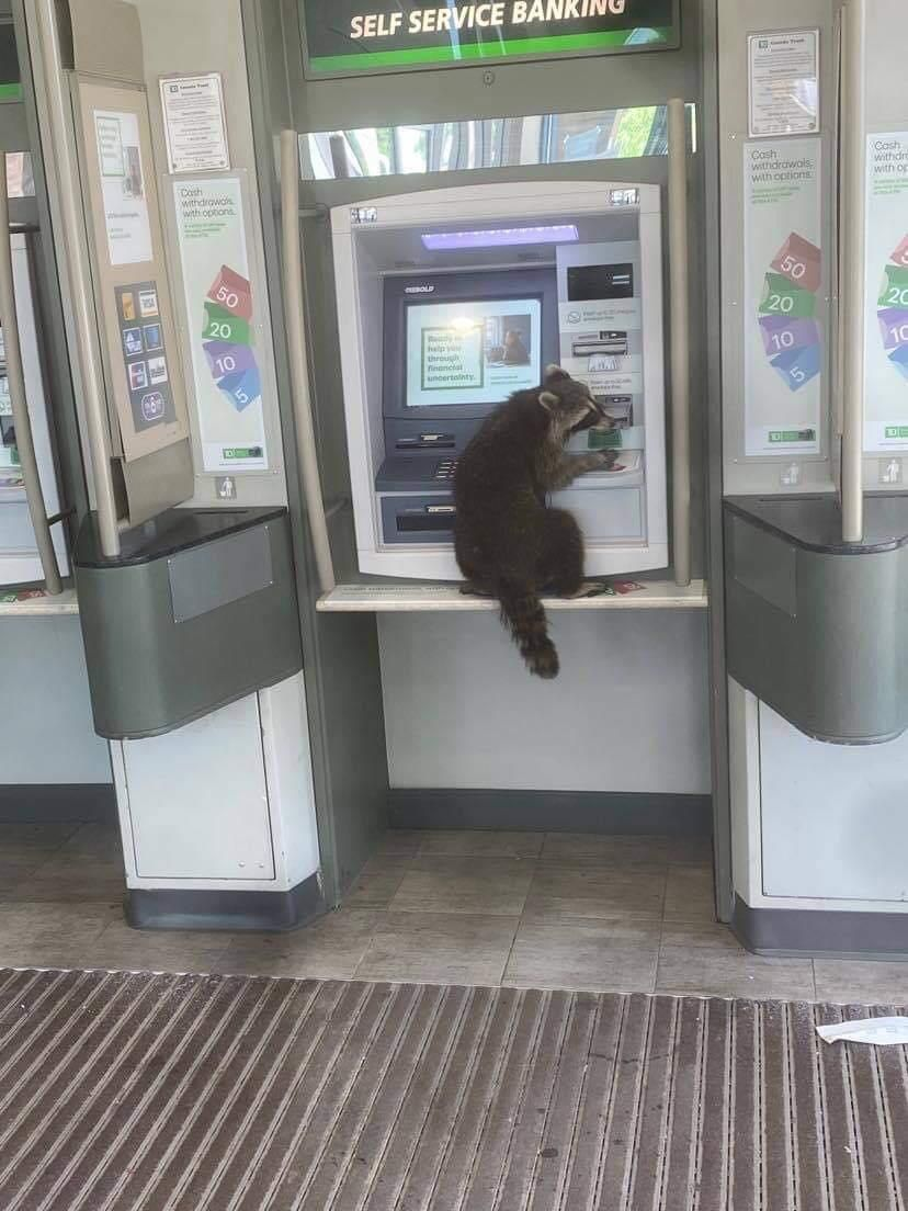 Damn ATM ate my card... Damn ATM ate my card...